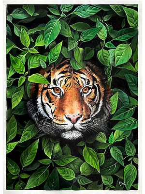 Hunting Tiger | Oil Painting On Canvas | Kuldip Jathar