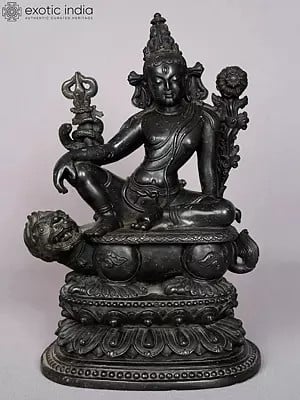 12" Superfine Black Stone Lokeshvara Seated On Lion Pedestal
