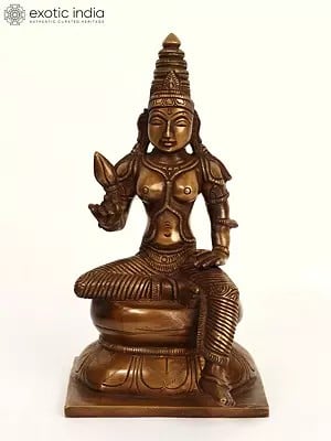 9" Brass Goddess Parvati Seated on Pedestal
