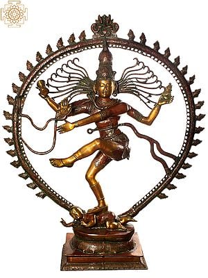 70" Nataraja (Super Large Sculpture) In Brass | Handmade | Made In India