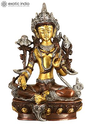 8" Tibetan Buddhist Savior Goddess Green Tara In Brass