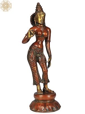 10" Goddess Parvati Shivakamsundari In Brass