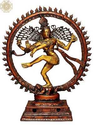 40" Large Size Nataraja in Golden and Brown Hues In Brass