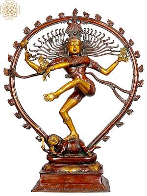 35" Large Size Nataraja in Brown and Golden Hues In Brass