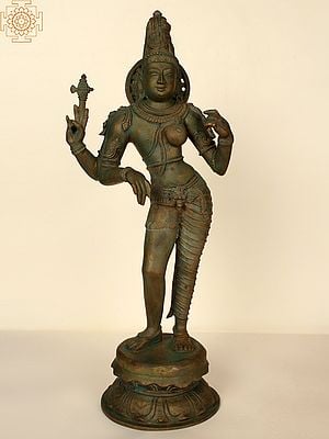 Buy Divine Ardhanarishvara Sculptures from South India Only at Exotic India