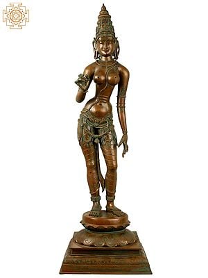 38" Large Superfine Sivagami (Goddess Uma) | Handmade | Madhuchista Vidhana (Lost-Wax) | Panchaloha Bronze from Swamimalai