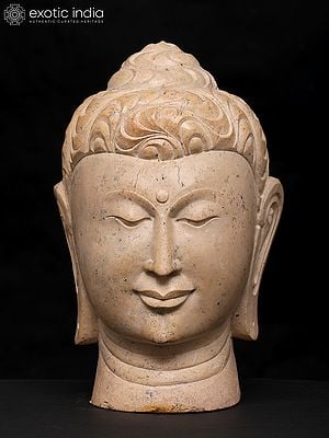 9" Meditating Buddha Head | Sand Stone Statue | Made in Orissa