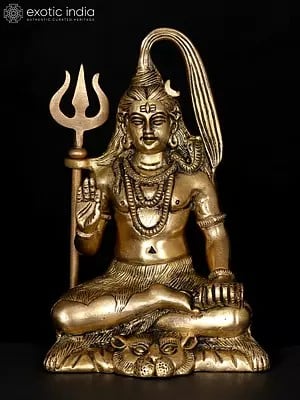 6" Small Blessing Lord Shiva | Brass Statue