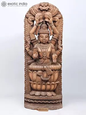45" Large Vishnu Bhagawan Performing Jal Abhishek on Himself | Wood Carved Statue