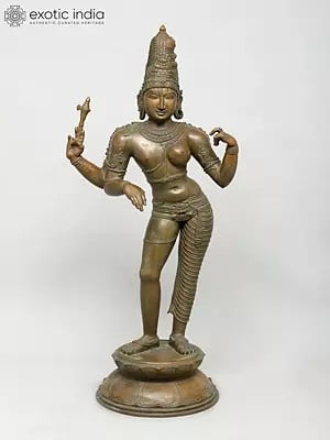 40" Large Ardhanarishvara (Shiva-Shakti) | Madhuchista Vidhana (Lost-Wax) | Panchaloha Bronze from Swamimalai