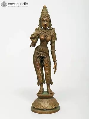 6" Small Standing Goddess Uma (Parvati) | Madhuchista Vidhana (Lost-Wax) | Panchaloha Bronze from Swamimalai