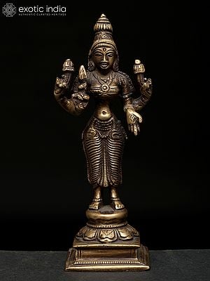 5" Small Standing Devi Lakshmi | Brass Statue