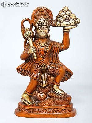 9" Lord Hanuman Carrying Mountain of Sanjivani Herbs | Brass Statue