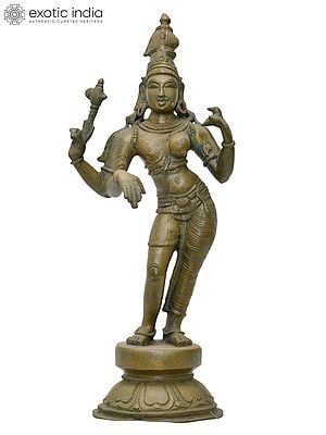 12" Ardhanarishvara (Shiva-Shakti) | Madhuchista Vidhana (Lost-Wax) | Panchaloha Bronze from Swamimalai