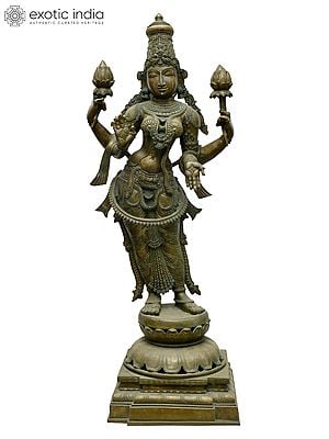 39" Large Four Armed Standing Goddess Lakshmi in Blessing Gesture | Madhuchista Vidhana (Lost-Wax) | Panchaloha Bronze from Swamimalai
