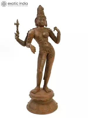 19" Standing Ardhanarishvara (Shiva-Shakti) in Bronze