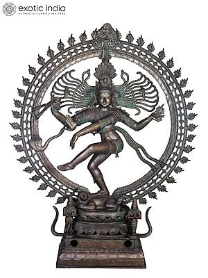 54'' Nataraja Panchaloha Bronze Statue from Swamimalai