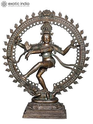 60'' Large Nataraja | Madhuchista Vidhana (Lost-Wax) | Panchaloha Bronze from Swamimalai