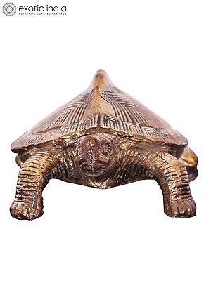 3'' Small Bronze Tortoise | Madhuchista Vidhana (Lost-Wax) | Panchaloha Bronze from Swamimalai