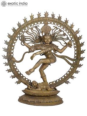 33" Large Nataraja Statue | Madhuchista Vidhana (Lost-Wax) | Panchaloha Bronze from Swamimalai