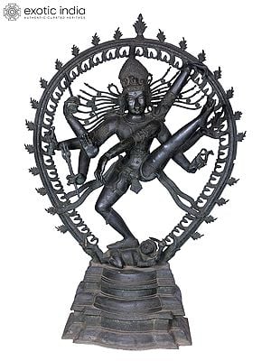 56'' Nataraja Panchaloha Bronze Statue from Swamimalai | Madhuchista Vidhana (Lost-Wax)