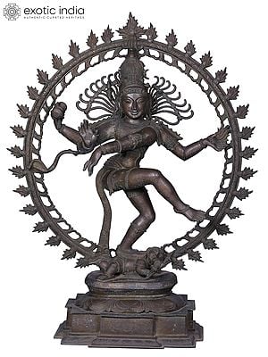 42'' Large Dancing Lord Shiva (Nataraja) Statue | Madhuchista Vidhana (Lost-Wax) | Panchaloha Bronze from Swamimalai