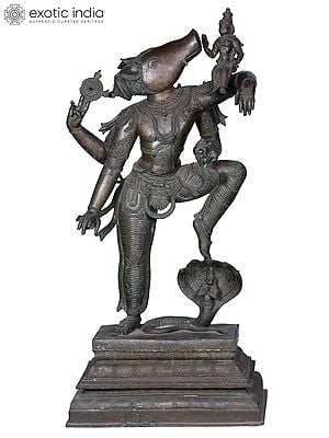 40'' Large Varaha Avatara of Lord Vishnu with Devi Lakshmi | Madhuchista Vidhana (Lost-Wax) | Panchaloha Bronze from Swamimalai