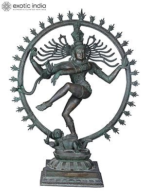 48'' Large Dancing Shiva (Nataraja) Sculpture | Madhuchista Vidhana (Lost-Wax) | Panchaloha Bronze from Swamimalai