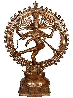 54" Large Size Nataraja Brass Sculpture | Handmade | Made in India