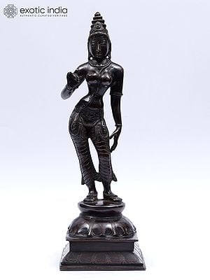 11" Goddess Uma Shivakamasundari in Brass | Handmade | Made in India