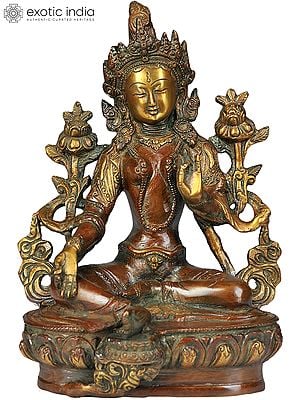 8" Tibetan Buddhist Deity Green Tara Brass Statue