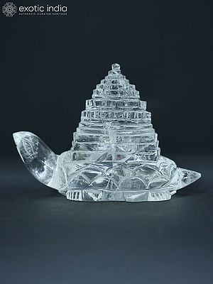 6" Hand Carved Shri Yantra On Tortoise In Crystal | Ritual Item