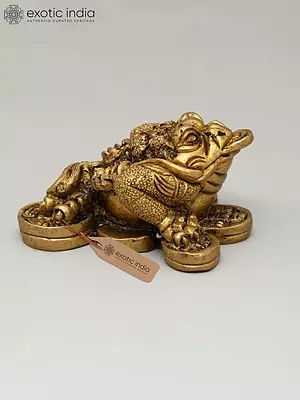 The Three-legged Toad