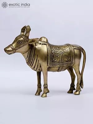 9" Standing Nandi (Vehicle of Lord Shiva) | Brass Statue