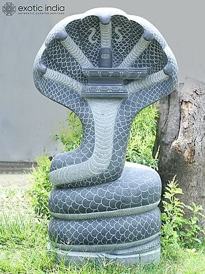 58" Large Black Granite Stone Statue Of Sheshnag With Shiva Linga