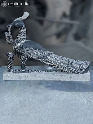 27" Attractive Peacock with Holding Snake | Black Granite Stone Sculpture