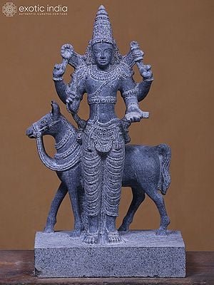 21" Shukra Graha with Vahana | Venus Black Granite Stone Statue