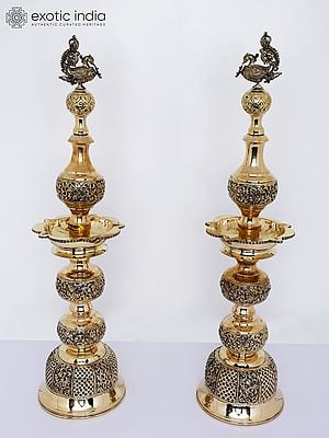 25" Pair of Superfine Peacock Lamps in Brass