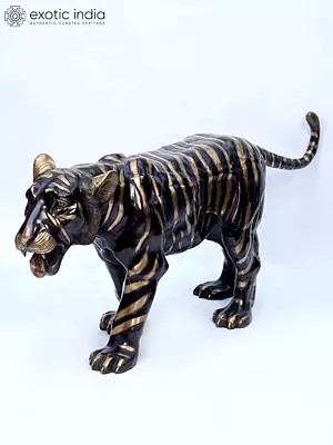 70" Large Tiger in Walking Gesture | Brass Statue | Made in India