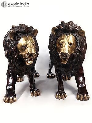 Large The Pair of Lion - Kings of The Wild | Brass Sculpture (Ships by Sea)