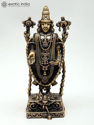 Small Superfine Lord Venkateswara Swami and Garuda | Ideal for Puja