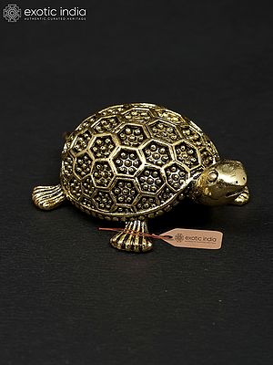 2" Small Vastu Tortoise | Brass Statue