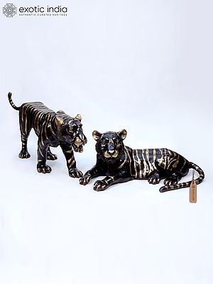 The Pair of Tiger in Resting Gesture | Brass Sculpture