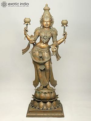 66'' Huge Four Armed Standing Goddess Lakshmi in Blessing Gesture - Goddess of Wealth and Prosperity | Madhuchista Vidhana (Lost-Wax) | Panchaloha Bronze from Swamimalai
