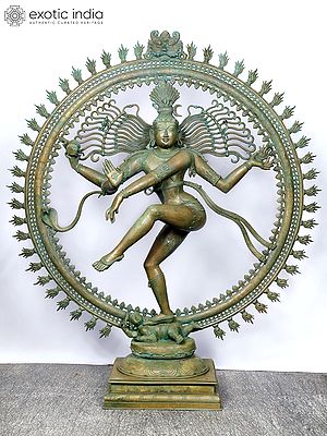 84" Large Size Nataraja - Lord Shiva as the Cosmic Dancer | Madhuchista Vidhana (Lost-Wax) | Panchaloha Bronze from Swamimalai | Shipped by Sea Overseas