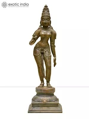 13" Standing Goddess Uma (Devi Parvati) | Madhuchista Vidhana (Lost-Wax) | Panchaloha Bronze from Swamimalai