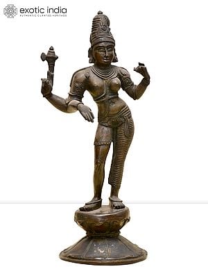 12" Standing Ardhanarishvara (Shiva-Shakti) | Madhuchista Vidhana (Lost-Wax) | Panchaloha Bronze from Swamimalai