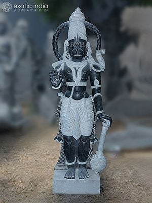 80" Large Hanuman Idol in Blessing Mudra | Black Granite Stone Statue