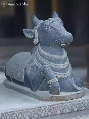 24" The Calm Nandi Sculpture | Granite Stone Statue for Temple