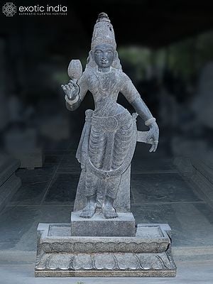 38" Standing Goddess Rukmini Granite Stone Statue with Holding Lotus